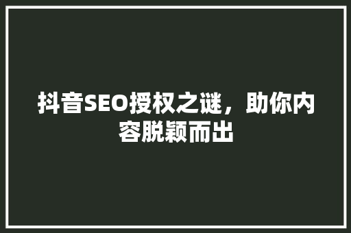 抖音SEO授权之谜，助你内容脱颖而出