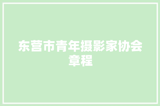 广州SEO软件实力评测,乐云SEO，助力企业互联网营销新篇章