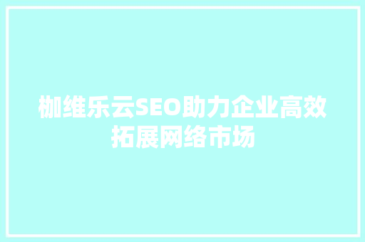 枷维乐云SEO助力企业高效拓展网络市场