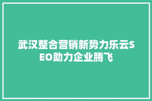 武汉整合营销新势力乐云SEO助力企业腾飞