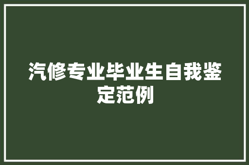 沈阳运营抖音SEO优化多少，收获几何