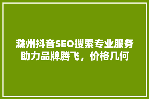 滁州抖音SEO搜索专业服务助力品牌腾飞，价格几何
