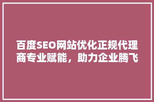 百度SEO网站优化正规代理商专业赋能，助力企业腾飞