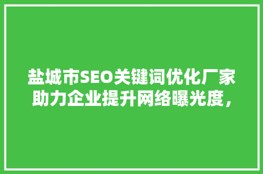 盐城市SEO关键词优化厂家助力企业提升网络曝光度，抢占市场先机