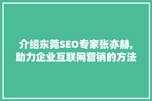 介绍东莞SEO专家张亦赫,助力企业互联网营销的方法