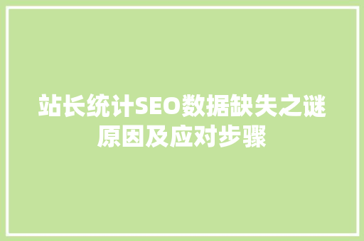 站长统计SEO数据缺失之谜原因及应对步骤