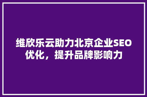 维欣乐云助力北京企业SEO优化，提升品牌影响力