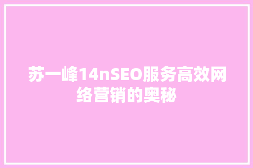 苏一峰14nSEO服务高效网络营销的奥秘