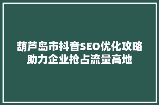 葫芦岛市抖音SEO优化攻略助力企业抢占流量高地