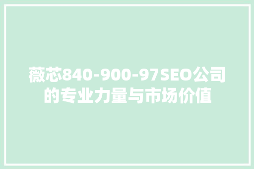 薇芯840-900-97SEO公司的专业力量与市场价值