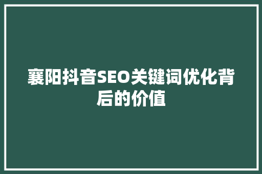 襄阳抖音SEO关键词优化背后的价值