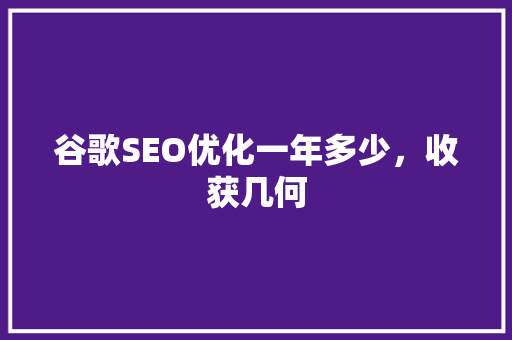 谷歌SEO优化一年多少，收获几何