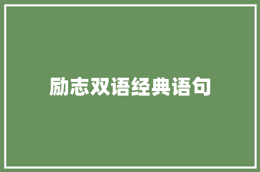 零售业网站SEO优化攻略提升流量，助力品牌腾飞