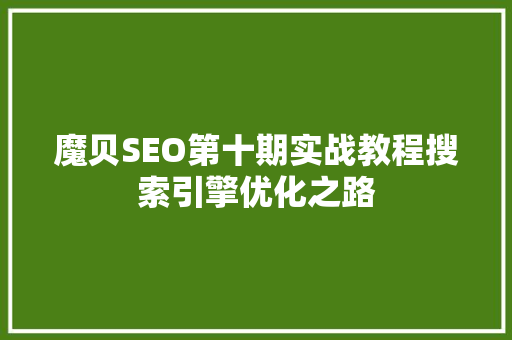 魔贝SEO第十期实战教程搜索引擎优化之路