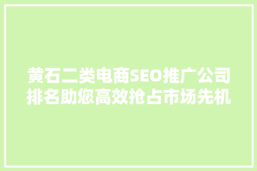 黄石二类电商SEO推广公司排名助您高效抢占市场先机