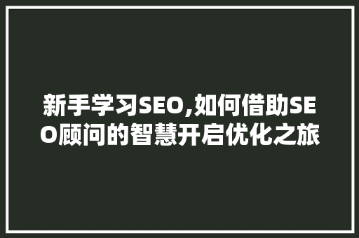 新手学习SEO,如何借助SEO顾问的智慧开启优化之旅