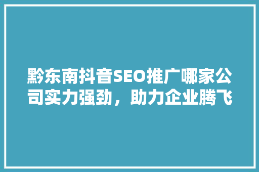 黔东南抖音SEO推广哪家公司实力强劲，助力企业腾飞
