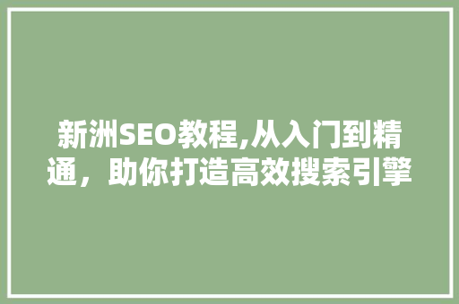 新洲SEO教程,从入门到精通，助你打造高效搜索引擎优化步骤