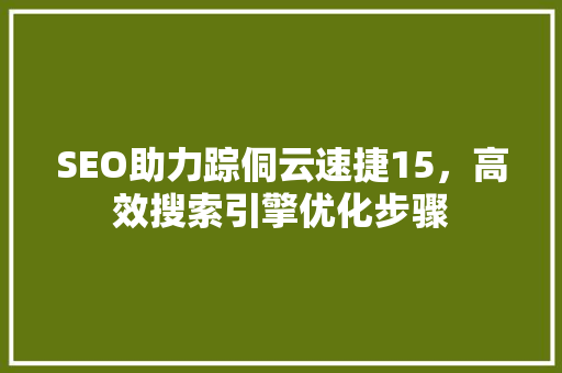SEO助力踪侗云速捷15，高效搜索引擎优化步骤