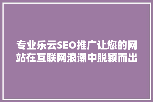 专业乐云SEO推广让您的网站在互联网浪潮中脱颖而出