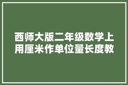 哈尔滨SEO外包,行者SEO06助力企业互联网营销新篇章