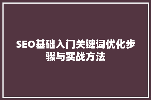 SEO基础入门关键词优化步骤与实战方法