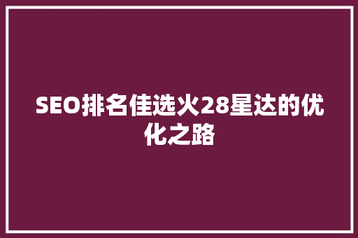SEO排名佳选火28星达的优化之路