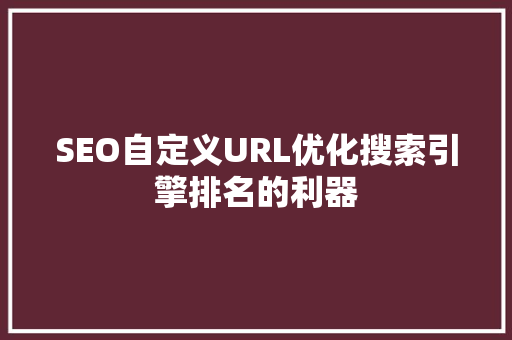 SEO自定义URL优化搜索引擎排名的利器