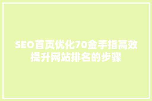 SEO首页优化70金手指高效提升网站排名的步骤