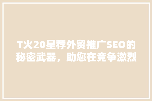 T火20星荐外贸推广SEO的秘密武器，助您在竞争激烈的市场脱颖而出