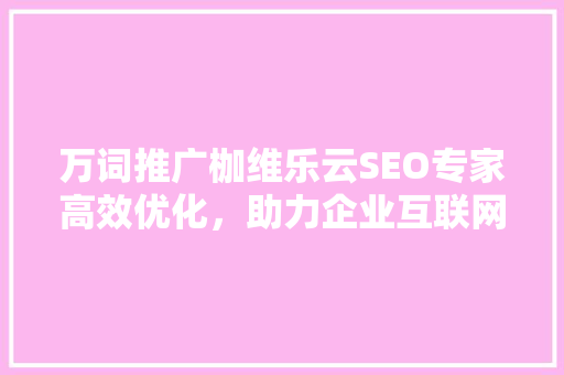 万词推广枷维乐云SEO专家高效优化，助力企业互联网营销