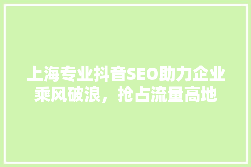 上海专业抖音SEO助力企业乘风破浪，抢占流量高地
