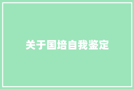 天津SEO姿行者SEO08,介绍高效SEO步骤，助力企业腾飞