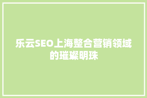 乐云SEO上海整合营销领域的璀璨明珠