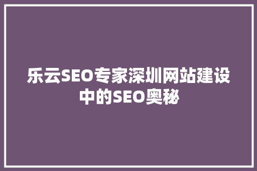 乐云SEO专家深圳网站建设中的SEO奥秘