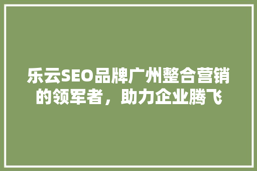 乐云SEO品牌广州整合营销的领军者，助力企业腾飞