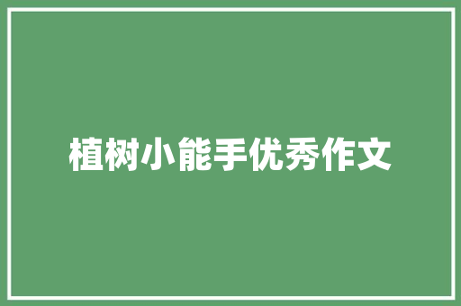 富阳SEO公司助力企业互联网营销，成就品牌新高度