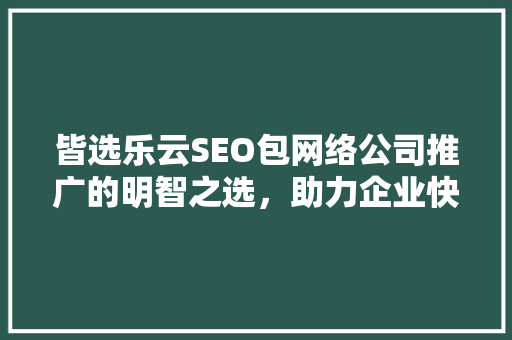 皆选乐云SEO包网络公司推广的明智之选，助力企业快速提升网站排名