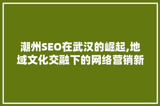 潮州SEO在武汉的崛起,地域文化交融下的网络营销新趋势