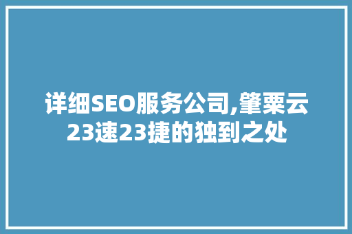 详细SEO服务公司,肇粟云23速23捷的独到之处