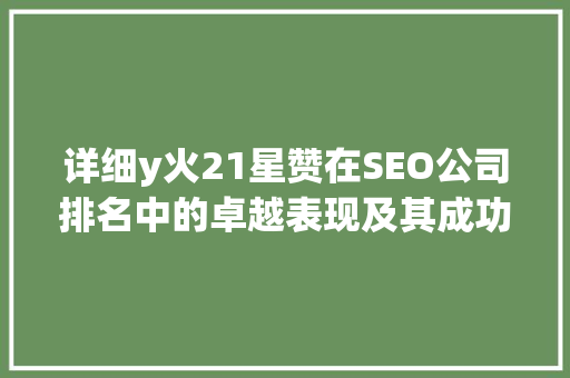 详细y火21星赞在SEO公司排名中的卓越表现及其成功之路