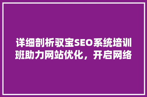 详细剖析驭宝SEO系统培训班助力网站优化，开启网络营销新篇章
