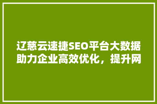 辽慈云速捷SEO平台大数据助力企业高效优化，提升网站排名