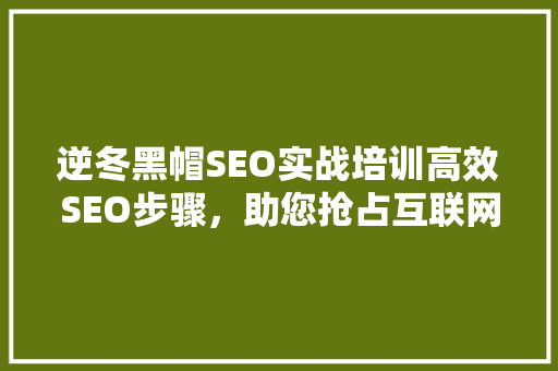 逆冬黑帽SEO实战培训高效SEO步骤，助您抢占互联网商机