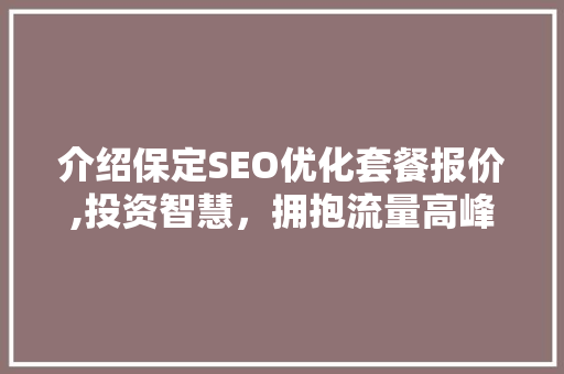 介绍保定SEO优化套餐报价,投资智慧，拥抱流量高峰