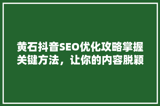 黄石抖音SEO优化攻略掌握关键方法，让你的内容脱颖而出