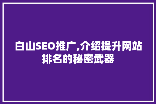 白山SEO推广,介绍提升网站排名的秘密武器