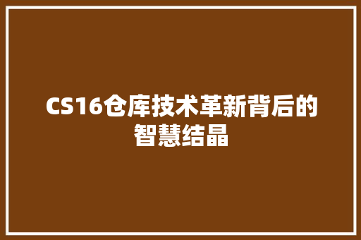 CS16仓库技术革新背后的智慧结晶