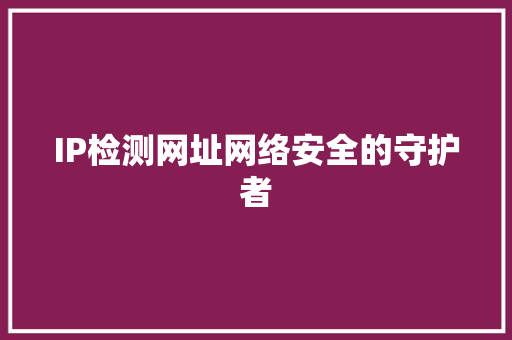 IP检测网址网络安全的守护者