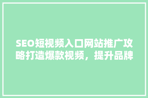 SEO短视频入口网站推广攻略打造爆款视频，提升品牌影响力